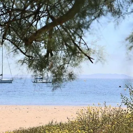 アパート Le Rivage - A 50m De La Des Salins - Piscine イエール