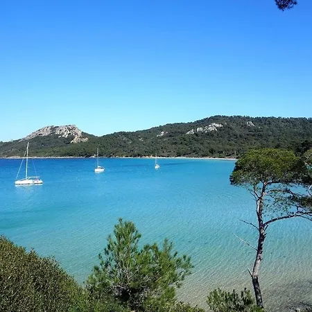 Le Rivage - A 50m De La Des Salins - Piscine * イエール